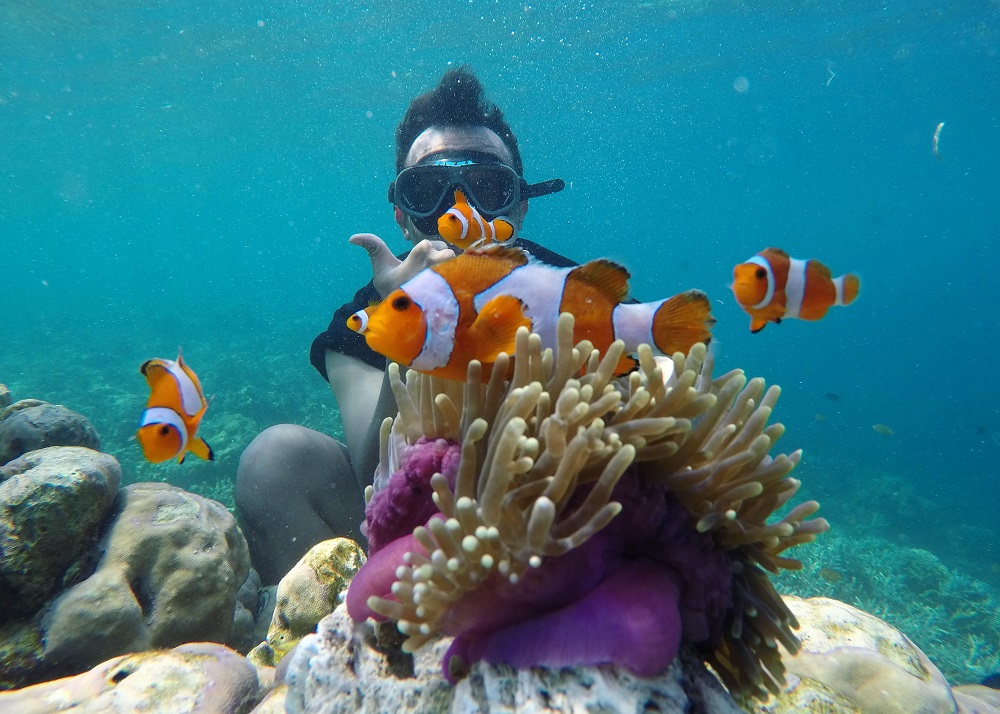 Snorkeling Pulau Pahawang